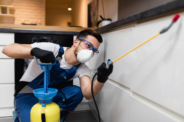 Best Commercial Pest Control Services  in Manhattan, NY