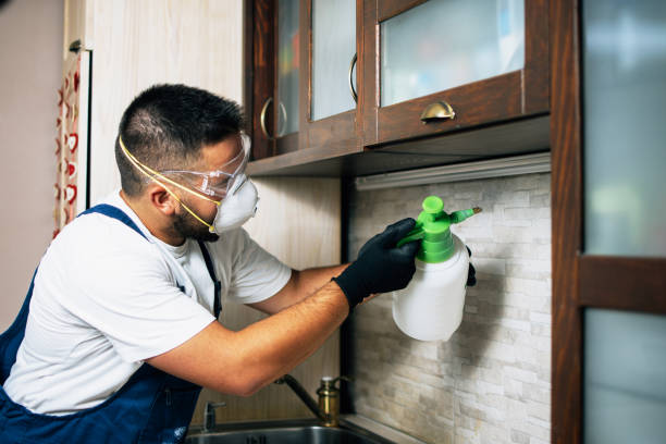 Manhattan, NY Pest Control Company
