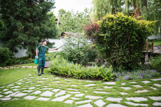 Best Insect Control  in Manhattan, NY