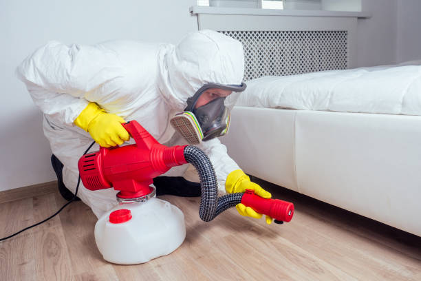Best Termite Control Services  in Manhattan, NY