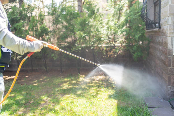 Best Rat Extermination Near Me  in Manhattan, NY