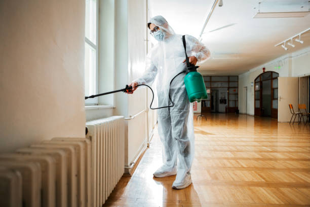 Best Bed Bug Extermination  in Manhattan, NY